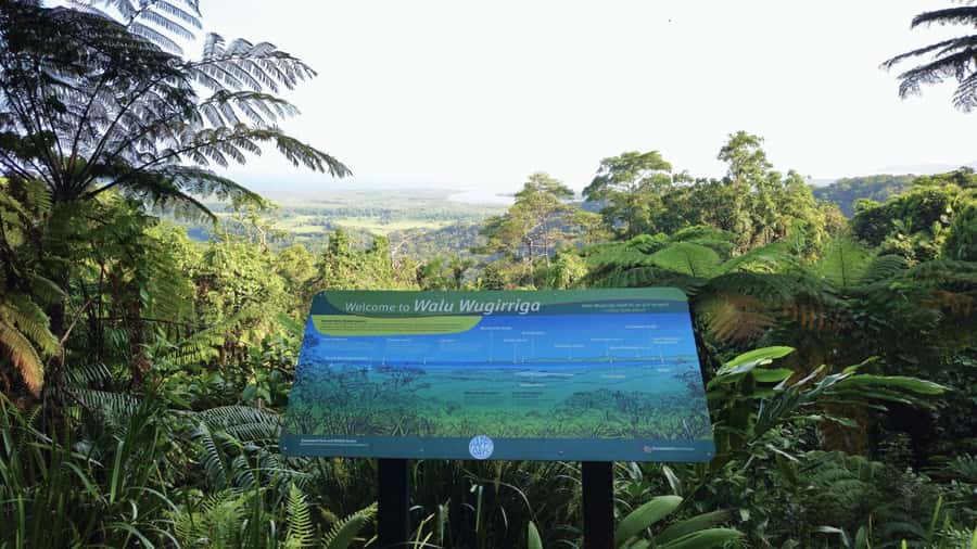 Cairns: Cape Tribulation, Mossman Gorge & Daintree Day Tour - Price and logistics: what you’re really paying for
