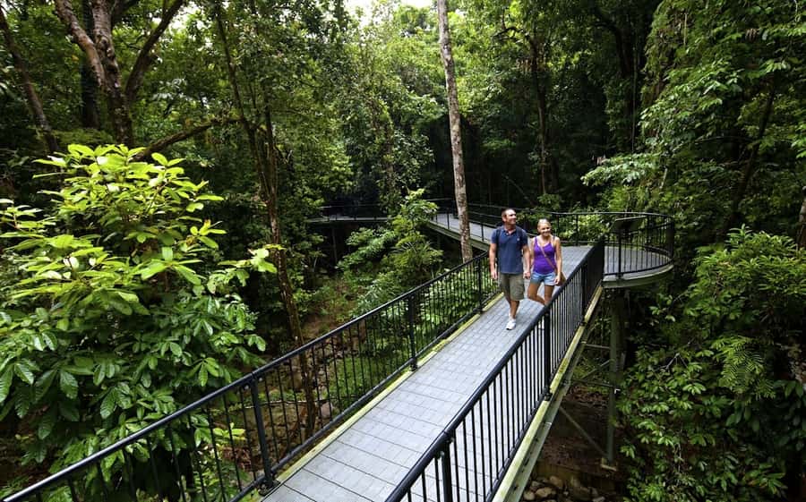 Cairns: Cape Tribulation, Mossman Gorge & Daintree Day Tour - First stop energy: Mossman Gorge and that morning-tea setup