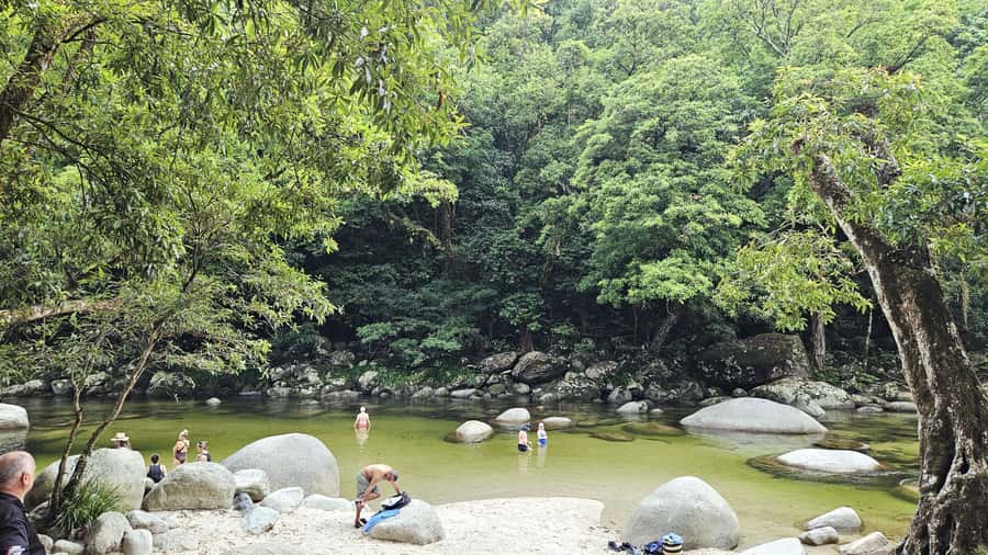 Cairns: Cape Tribulation, Mossman Gorge & Daintree Day Tour - Cable ferry crossing and the quiet in-between moments