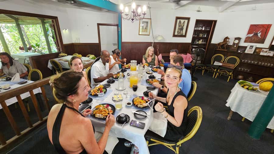 Cairns: Cape Tribulation, Mossman Gorge & Daintree Day Tour - Mount Alexandra Lookout and the Great Dividing Range panorama