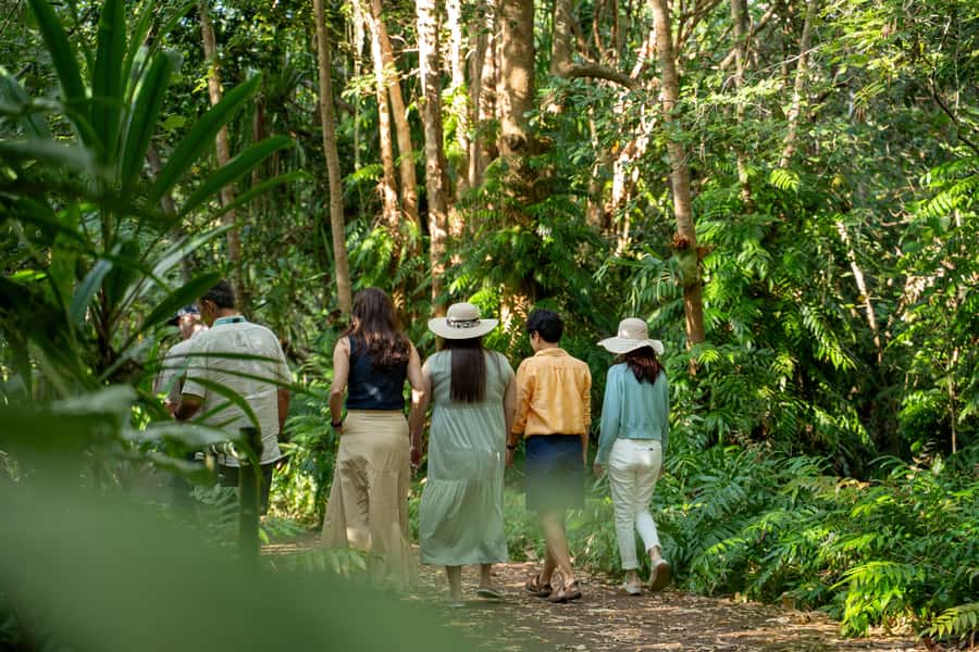 Cairns: Cattana Wetlands, Barron Falls & Kuranda Railway - Cattana Wetlands: Feather Palms, Jabiru Lake, and a Slow Start