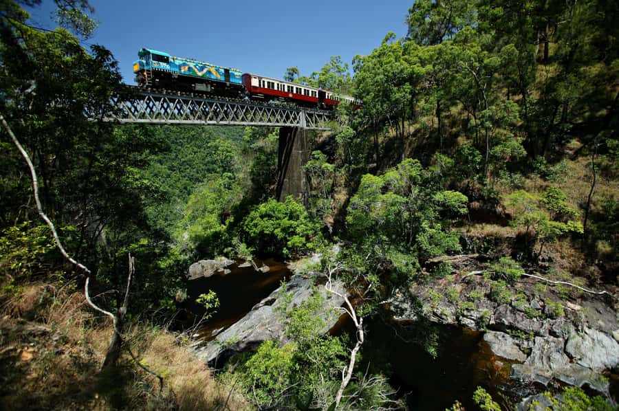 Cairns: Cattana Wetlands, Barron Falls & Kuranda Railway - Emerald Creek Ice Creamery: The Sweet, On-Site Payoff