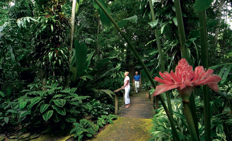 Cairns: City Sights Tour with Evening Dinner Cruise - Should you book this Cairns city sights + dinner cruise?