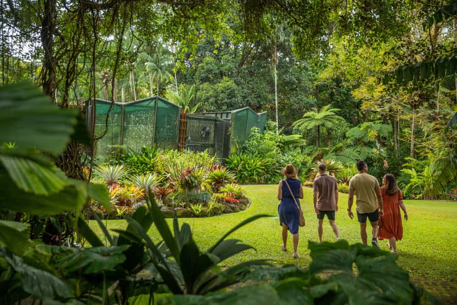 Cairns: City Sights Tour with Evening Dinner Cruise - St Monica’s Cathedral: stained glass and a creation story you can follow
