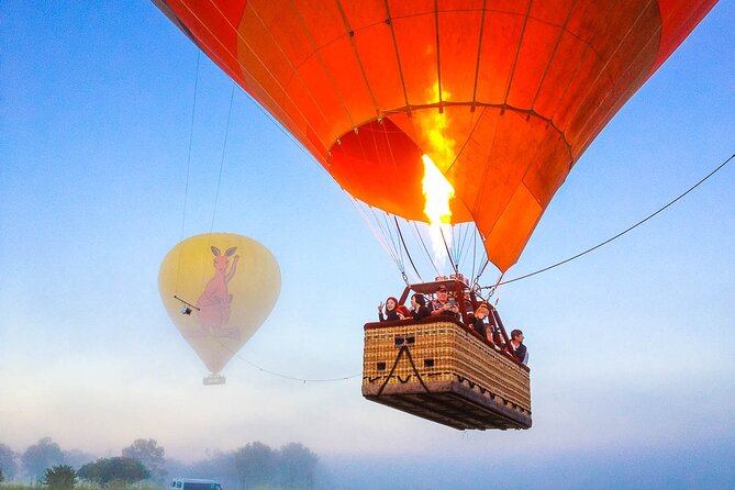 Cairns Classic Hot Air Balloon ride - What you might see over the Atherton Tablelands at dawn