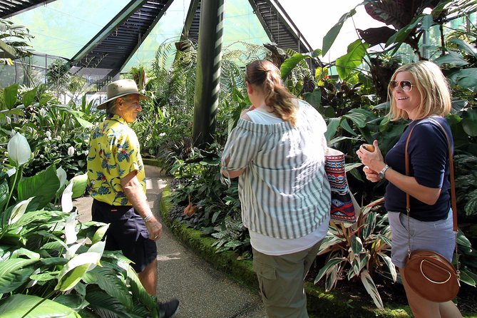 Cairns Combo: Cairns River Cruise & Small group Cairns City Sights - Ozmosis Afternoon Tea: A Proper Break, Not an Add-On