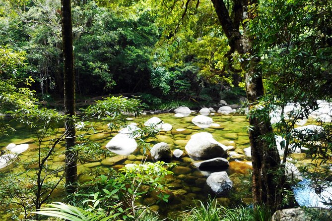 Cairns Daintree Rainforest and Cape Tribulation 2-Day Tour - Key things to know before you go