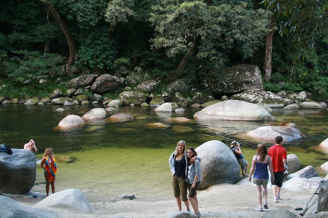 Cairns Daintree Rainforest and Cape Tribulation 2-Day Tour - Pickup, Transport, and the Small-Group Reality