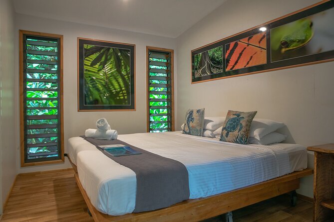 Cairns Daintree Rainforest and Cape Tribulation 2-Day Tour - Safari Lodge Night: A Real Stop, Not Just a Transfer
