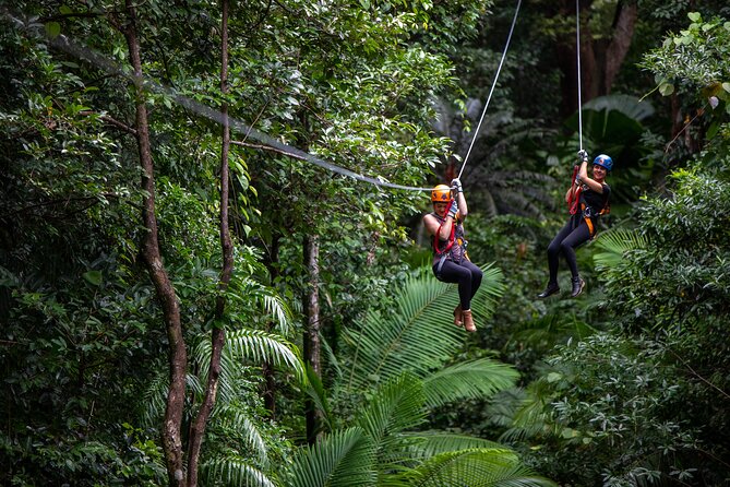 Cairns Daintree Rainforest and Cape Tribulation 2-Day Tour - Mossman Gorge Welcome to Country, Smoke Ceremony, and a Swim
