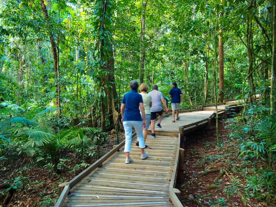 Cairns: Daintree Rainforest Canopy Ziplining Tour - Your 2-Hour Game Plan: What Happens Before and After the Big Ride