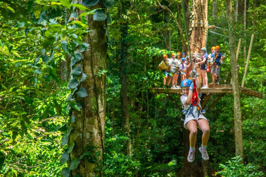 Cairns: Daintree Rainforest Canopy Ziplining Tour - Price and Value: Is $102 Worth a 2-Hour Treetop Thrill?