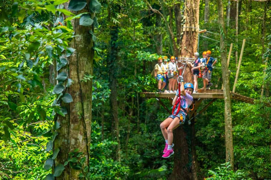 Cairns: Daintree Rainforest Canopy Ziplining Tour - Price and Logistics: Getting There (No Hotel Pickup) and Timing from Cairns
