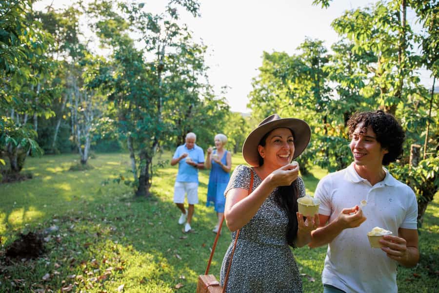 Cairns: Daintree Rainforest & Cape Tribulation Day Trip - Daintree River Cruise: wildlife spotting is the real skill test
