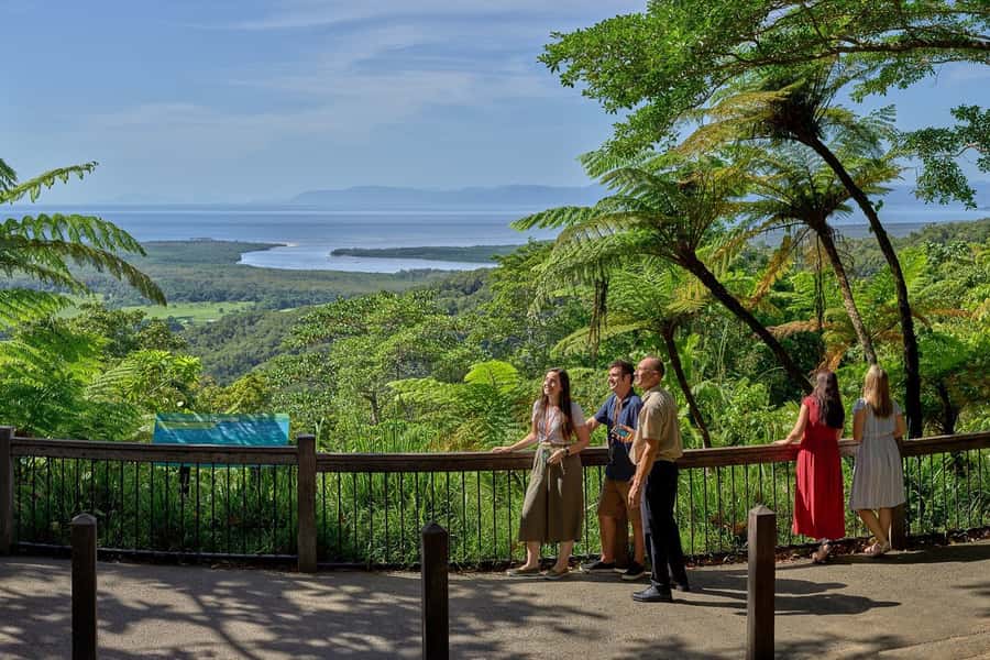 Cairns: Daintree Rainforest & Cape Tribulation Day Trip - Two-course rainforest lunch: where the value shows