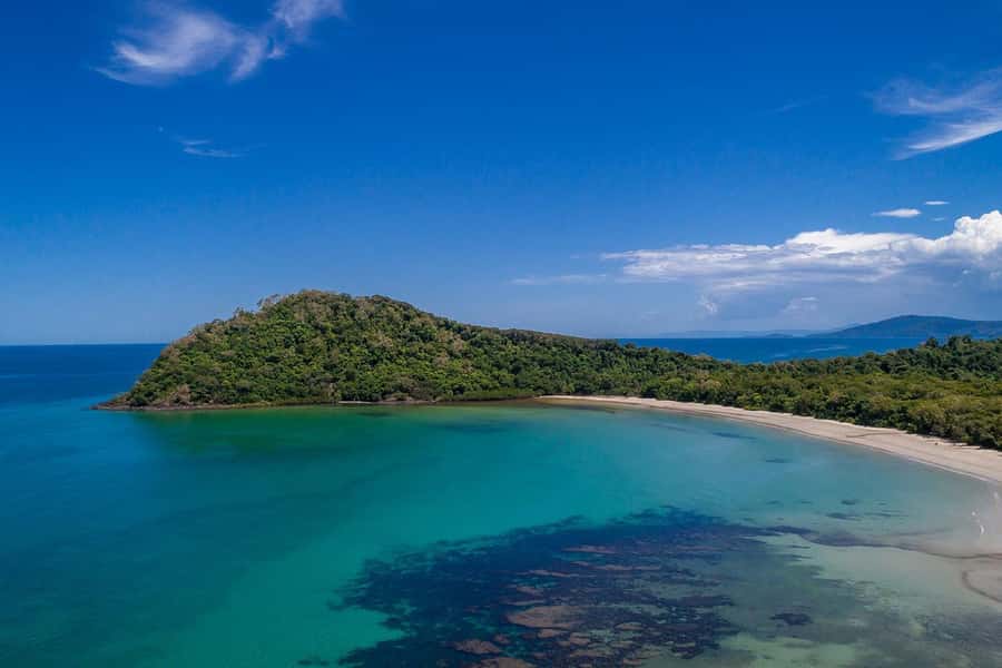 Cairns: Daintree Rainforest & Cape Tribulation Day Trip - Daintree Ice Cream Company and Alexandra Lookout