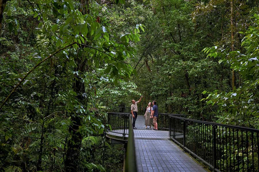 Cairns: Daintree Rainforest & Cape Tribulation Day Trip - Price and logistics: is $207 per person worth it?