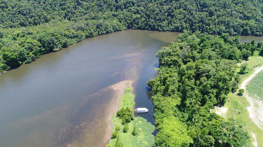 Cairns: Daintree Rainforest Wildlife Experience Cruise - Why a Daintree River Cruise Is the Best Wildlife Shortcut