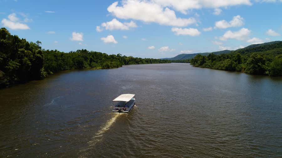 Cairns: Daintree Rainforest Wildlife Experience Cruise - Crocodile Spotting Without the Risky Parts