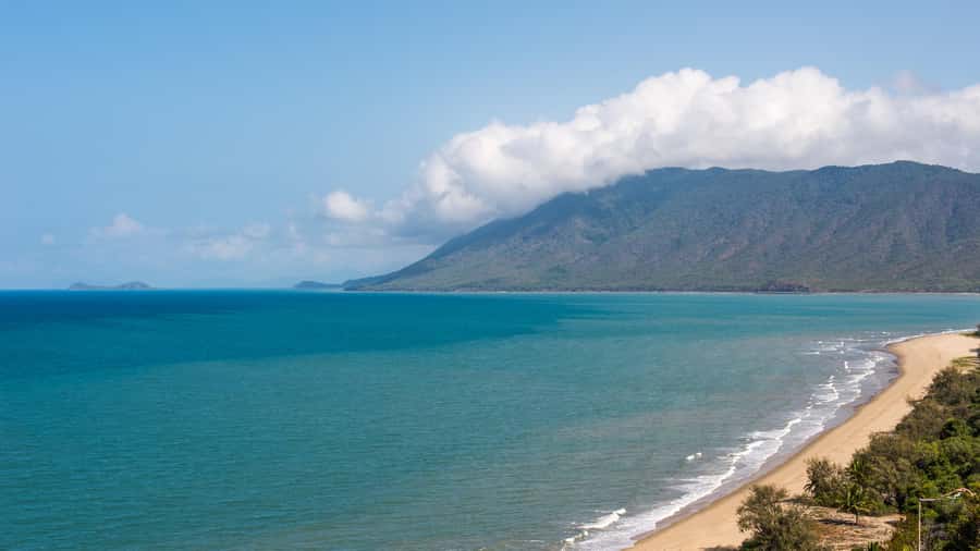 Cairns: Daintree River Cruise and Mossman Gorge - The Guided Walk Through UNESCO Rainforest (and the “what am I looking at?” answers)