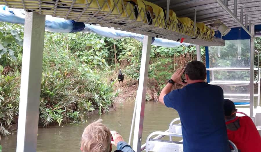 Cairns: Daintree River Cruise and Mossman Gorge - Rex’s Lookout Finish: Coral Sea breezes and a calmer ending