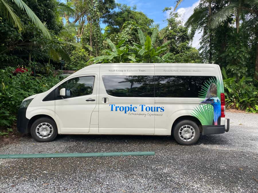 Cairns: Daintree River Cruise and Mossman Gorge - Cairns Pickup and the First Easy Win