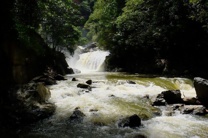 Cairns Day Tour Private Waterfall - Private Waterfall Day in Cairns: What freedom really looks like