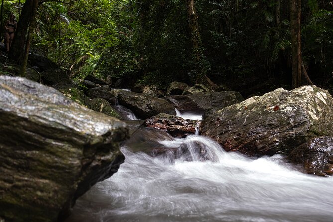 Cairns Day Tour Private Waterfall - Millaa Millaa Falls: the postcard waterfall, with time to actually enjoy it