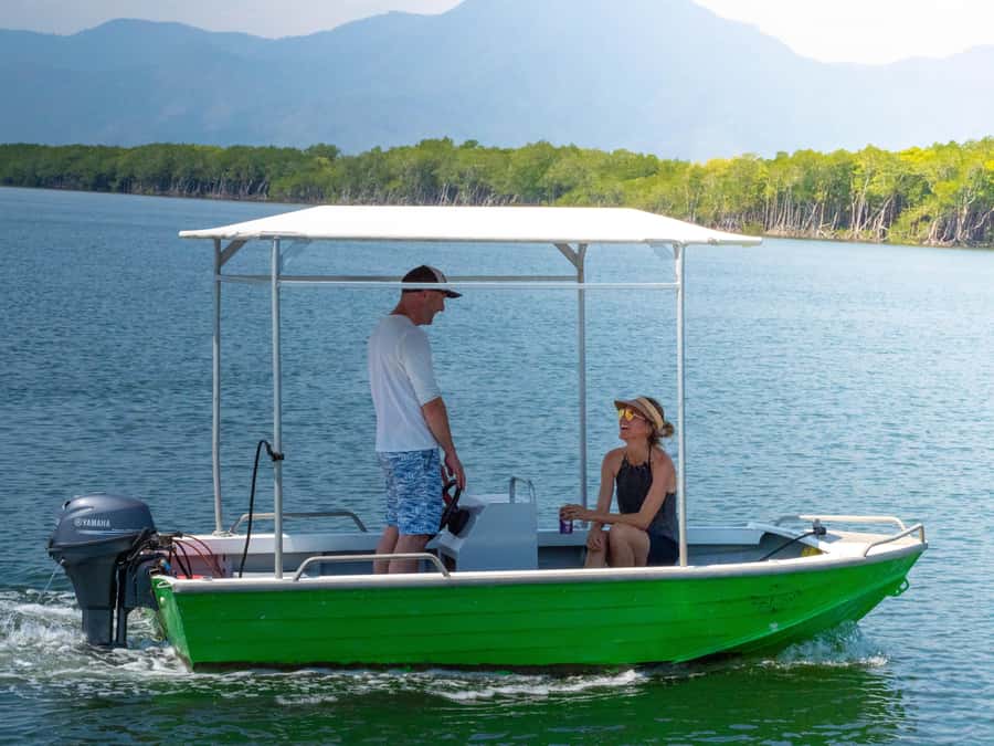 Cairns: Dinghie (tinny) Boat Hire - Wildlife spotting: crocodiles are part of the scenery