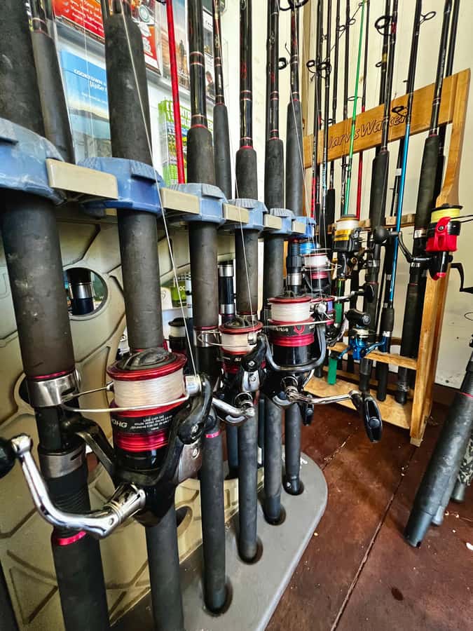 Cairns: Dinghie (tinny) Boat Hire - How the 4–8 hours actually feels