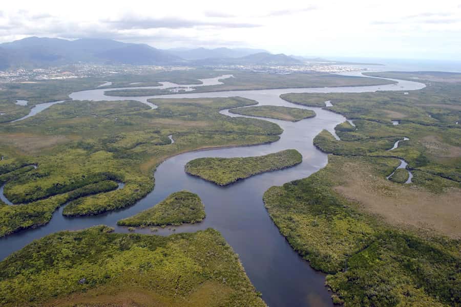 Cairns: Dinghie (tinny) Boat Hire - Cruising Trinity Inlet: mangroves, tributaries, and rainforest views