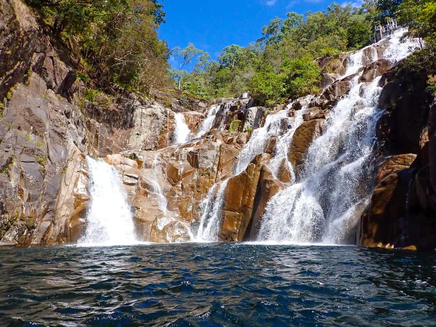 Cairns: Explorer Tour- Cairns Waterfalls - Crystal Cascades: the 1-hour swim-and-waterfall stop that defines the day