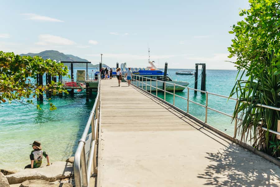Cairns: Fitzroy Island Half-Day with Optional Extras - Price and value for a $68 half-day reef taste