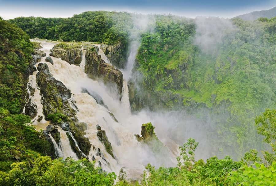 Cairns: Forest and Waterfalls Half-Day 4WD Guided Adventure - Key things I’d pay attention to