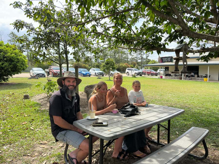 Cairns: Forest and Waterfalls Half-Day 4WD Guided Adventure - King Ferns and the Clohesy River Fig Tree Boardwalk