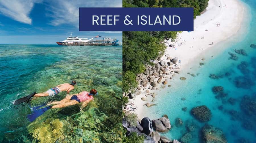 Cairns: Great Barrier Reef and Fitzroy Island Boat Tour - Moore Reef Pontoon: Snorkel, Slide, and Reef Viewing All in One Place