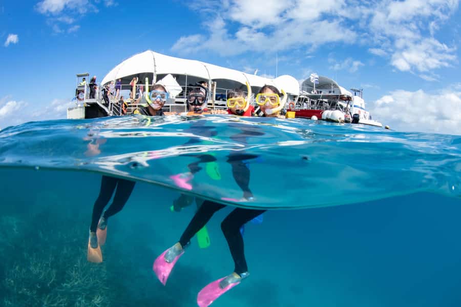 Cairns: Great Barrier Reef Cruise & 10 Minute Helicopter - The semi-submarine part: reef viewing without committing to wetsuit life
