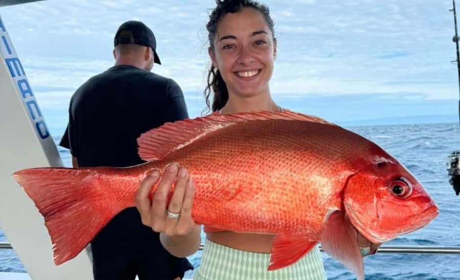 Cairns: Great Barrier Reef Fishing Charter with Lunch - Key things that make this charter worth a look