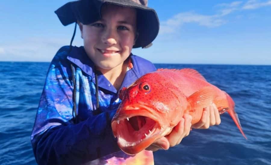 Cairns: Great Barrier Reef Fishing Charter with Lunch - Checking In at The Pier Café: the 6:00 AM start
