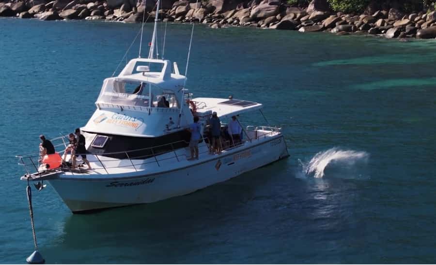 Cairns: Great Barrier Reef Fishing Charter with Lunch - Lunch on Board and Afternoon Tea Breaks