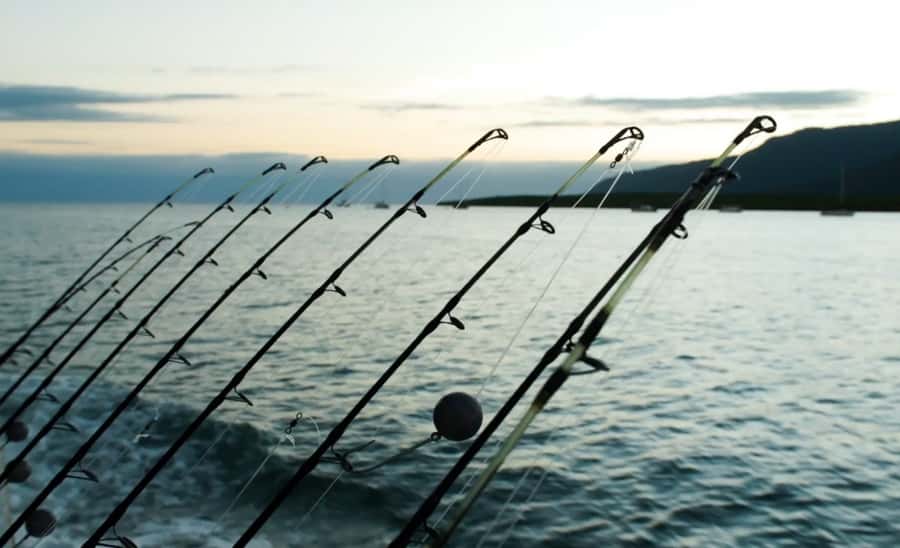 Cairns: Great Barrier Reef Fishing Charter with Lunch - Landing the Catch: Cleaning, Icing, and Taking Fish Home