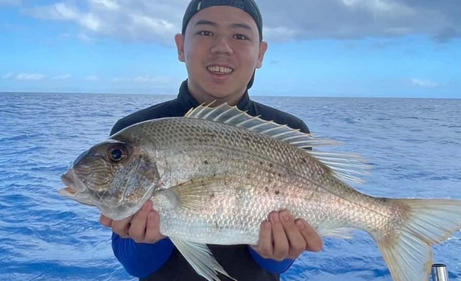 Cairns: Great Barrier Reef Fishing Charter with Lunch - Price, What’s Included, and How $240 Adds Up
