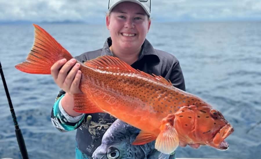 Cairns: Great Barrier Reef Fishing Charter with Lunch - Who This Charter Fits Best (and Who Might Skip It)