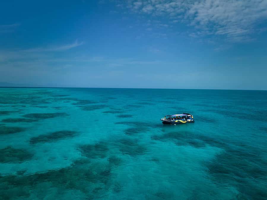 Cairns: Great Barrier Reef Half-Day Snorkelling Tour - Key points before you go