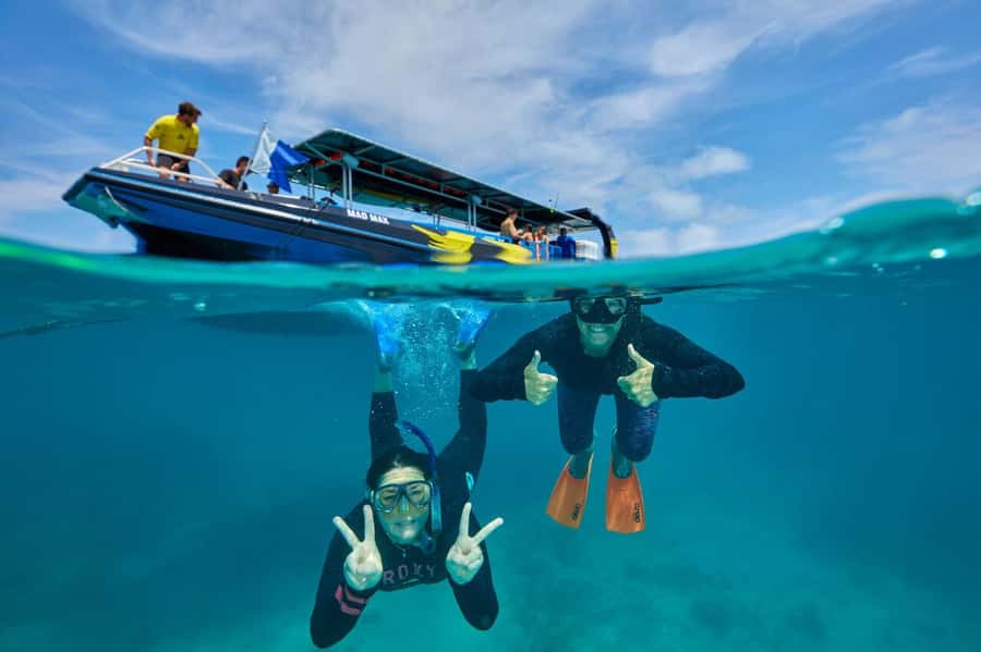 Cairns: Great Barrier Reef Half-Day Snorkelling Tour - Should you book this Reef Adventures Cairns snorkel tour?