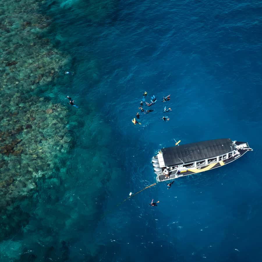 Cairns: Great Barrier Reef Half-Day Snorkelling Tour - Meeting at Cairns: Pier Shopping Centre and a smooth start