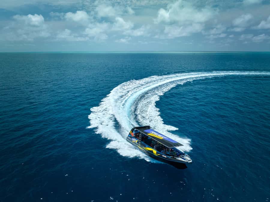 Cairns: Great Barrier Reef Half-Day Snorkelling Tour - Safety and group size: 27 people is small enough to feel looked after
