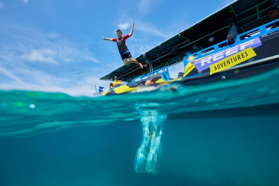 Cairns: Great Barrier Reef Half-Day Snorkelling Tour - Fast boat from Cairns to the Reef: fast can be comfortable