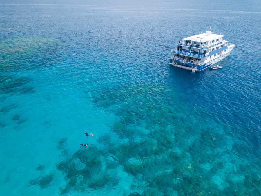 Cairns: Great Barrier Reef Overnight Snorkelling Boat Trip - OceanQuest liveaboard setup for real comfort