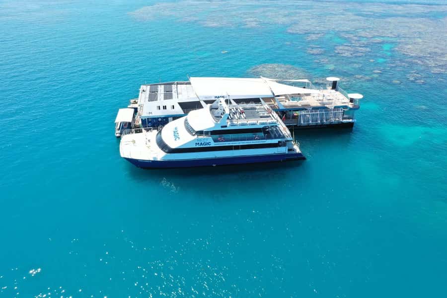 Cairns: Great Barrier Reef Pontoon with Water Activities - Key things you’ll notice on Reef Magic
